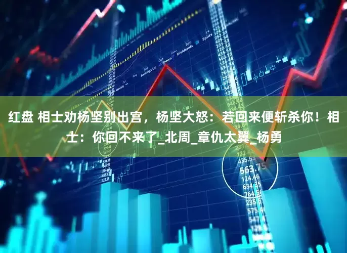 红盘 相士劝杨坚别出宫，杨坚大怒：若回来便斩杀你！相士：你回不来了_北周_章仇太翼_杨勇