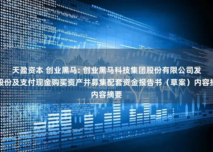 天盈资本 创业黑马: 创业黑马科技集团股份有限公司发行股份及支付现金购买资产并募集配套资金报告书（草案）内容摘要